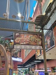 -卡通尼·Safari非洲探索乐园·生日会(金桥国际商业广场店)