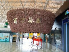 -百万葵园
