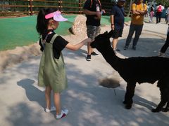 -西霞口神雕山野生动物世界