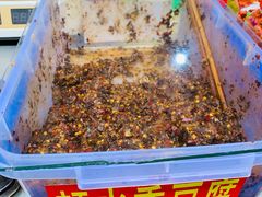 -捞沙巷
