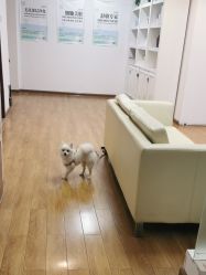 -苗苗清肤皮肤护理中心