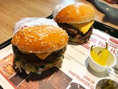 -The Habit Burger Grill 哈比特汉堡(复兴soho店)