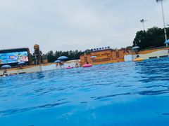 游乐设施-上海玛雅海滩水公园