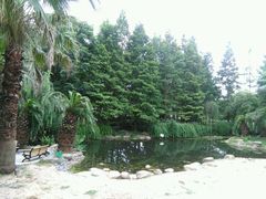 -苏州河梦清园环保主题公园