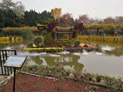 -汇龙潭