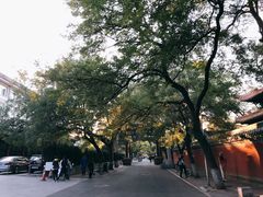 -北京国子监胡同