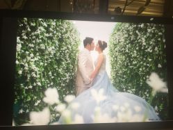 -太郎花子婚纱摄影艺术中心