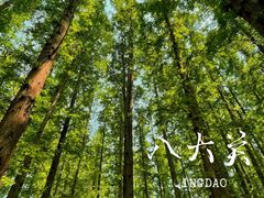 -八大关景区