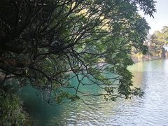 -广州市流溪河国家森林公园
