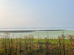 -阳澄湖半岛旅游度假区