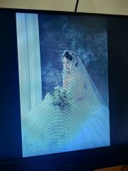 -金夫人婚纱摄影(总店)