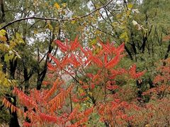 -碓臼峪自然风景区