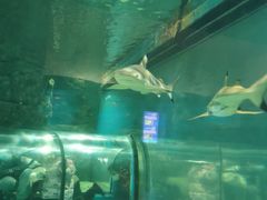 -福州罗源湾海洋世界旅游区