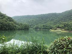 -桃花岭景区