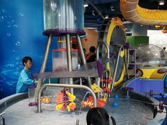 -中国宋庆龄青少年科技文化交流中心