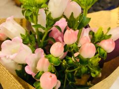 -Flower in(密渡桥店)