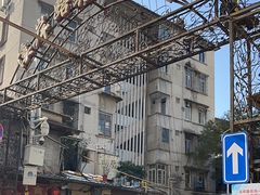 -溪岸路花鸟市场