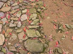 -仙霞关景区