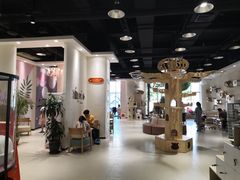 大堂-藏猫猫咖啡主题馆(中央大道店)