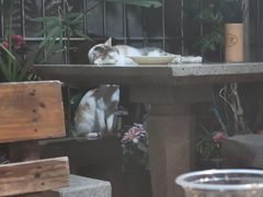 -老宅原住民沙茶面精品小吃(龙头路店)