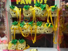 -PAWTOY爪e玩偶店(天兴罗斯福店)