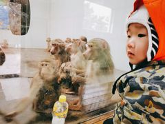 -西安秦岭野生动物园