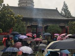 -法门文化景区