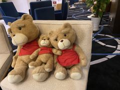 -南京禄口机场雅高铂尔曼大酒店