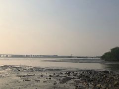 -宝安西湾红树林湿地公园