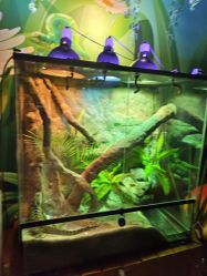 -酷嗒动物文化乐园(cutezoo西溪乐天城店)