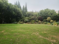 -上海醉白池公园