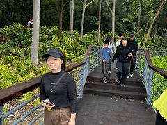 -中山市树木园