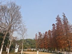 -昆山城市公园