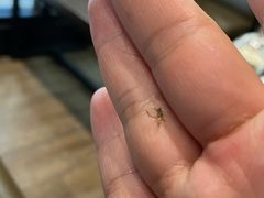 -星巴克(南京商厦店)