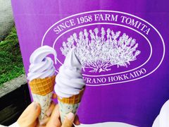 -富田农场