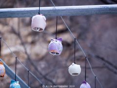 -黑龙潭风景区