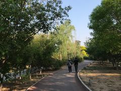 -永定河休闲森林公园