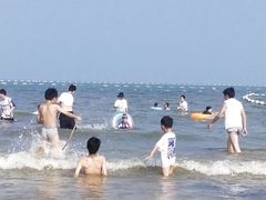 -日照海滨国家森林公园