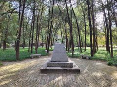 -北京动物园-畅观楼