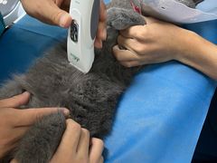 -中农国际动物医院24小时·猫科·骨科·急重症中心