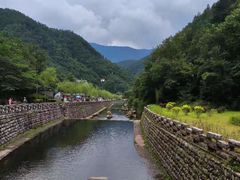 -牛背梁国家森林公园