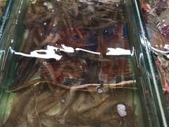 -南戴河海滨市场