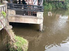 -清迈夜间动物园