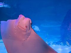 -沈阳海洋探索中心