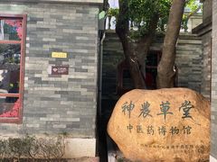 -广州神农草堂中医药博物馆