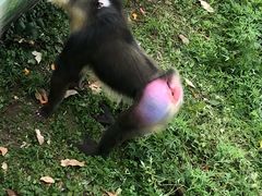-西安秦岭野生动物园