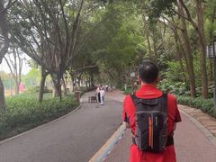 -顺峰山公园