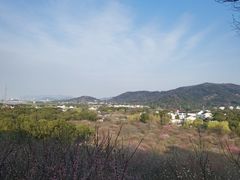 -香雪海