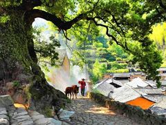 -杨家堂村