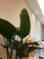 点击看大图 -ROYEA茹彦祛痘·问题肌肤修护中心